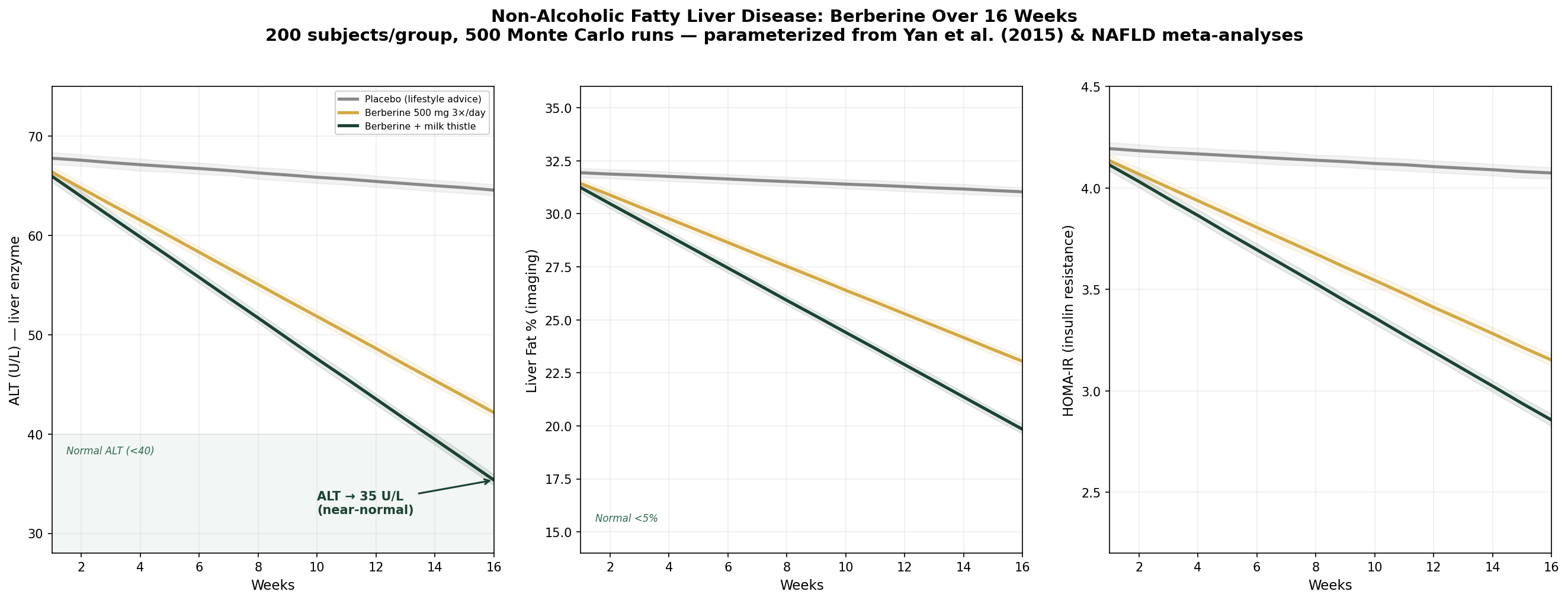 NAFLD simulation