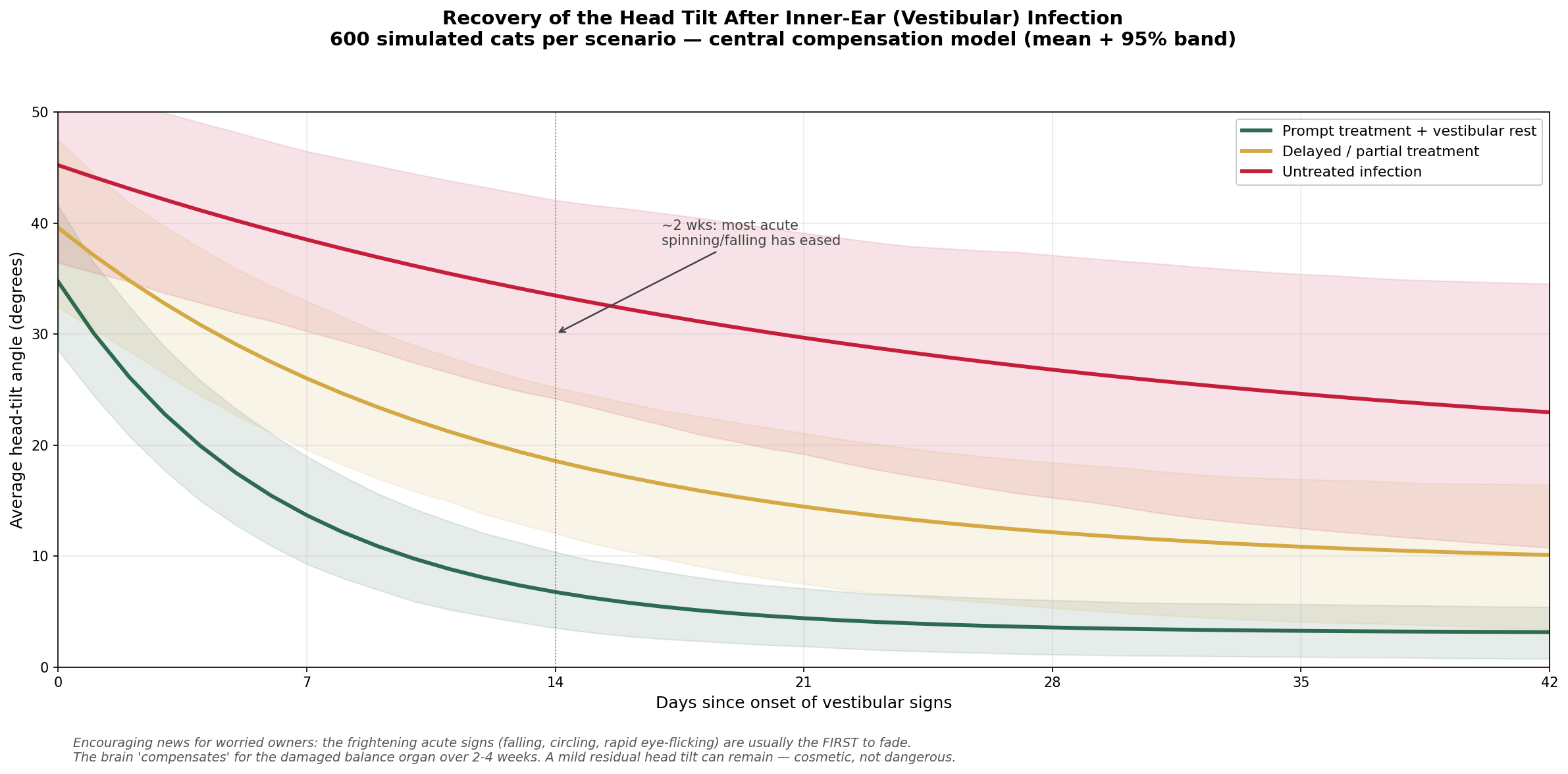 Recovery of the head tilt after inner-ear (vestibular) infection